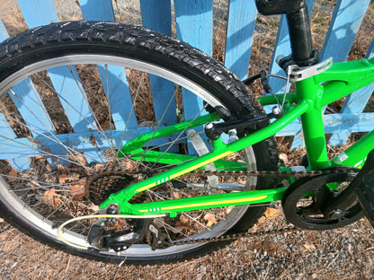 Carrera green 24inch wheel abyss