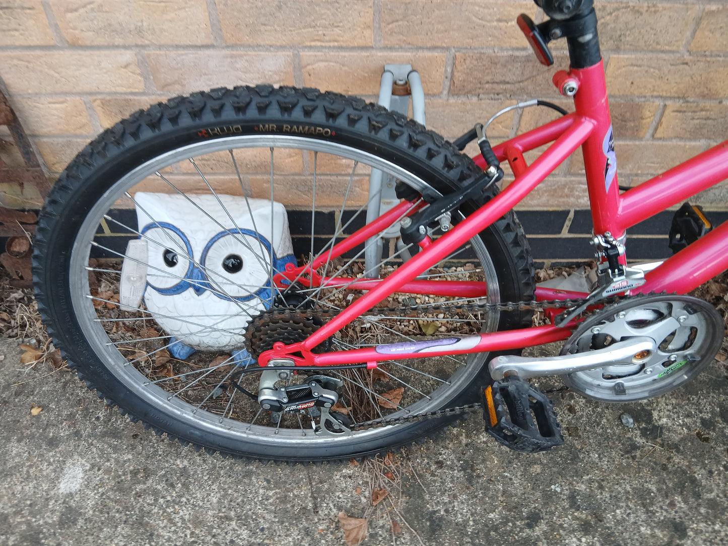Raleigh Raptor 24in Girls mountain bike