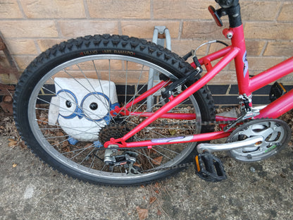 Raleigh Raptor 24in Girls mountain bike