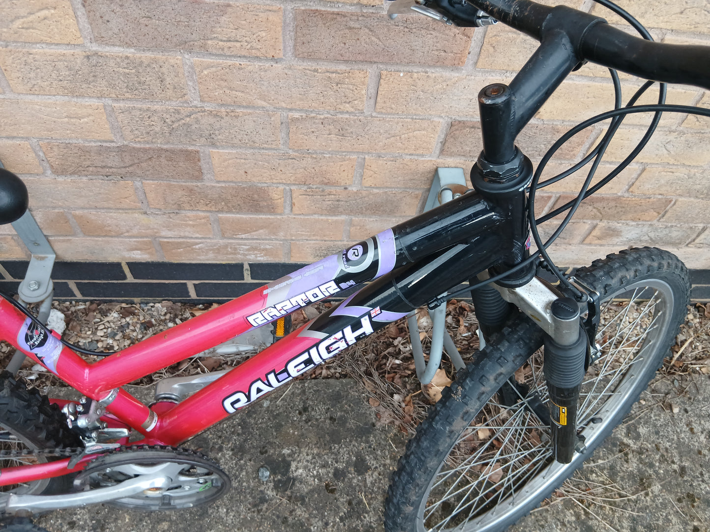 Raleigh Raptor 24in Girls mountain bike