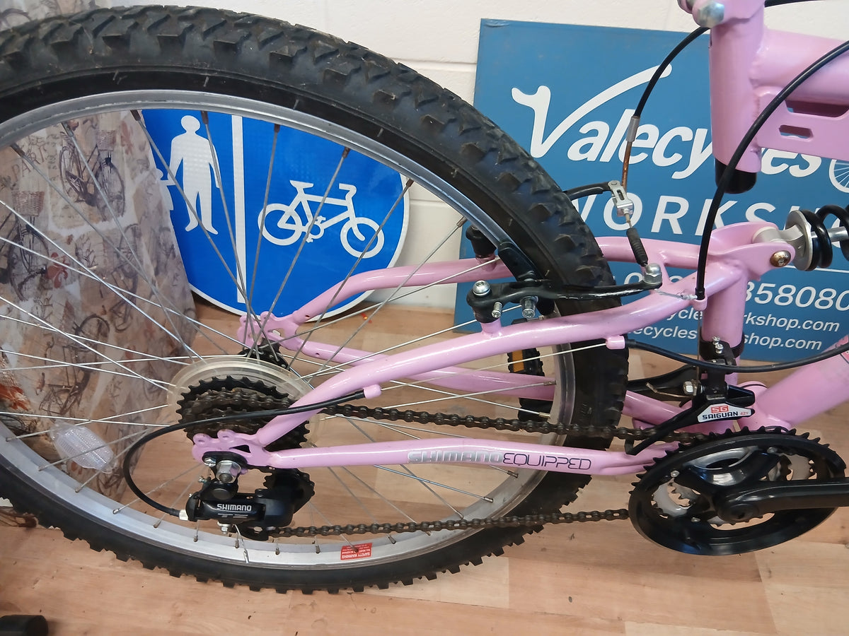 Trax tfs1 17inch Frame Mountain bike
