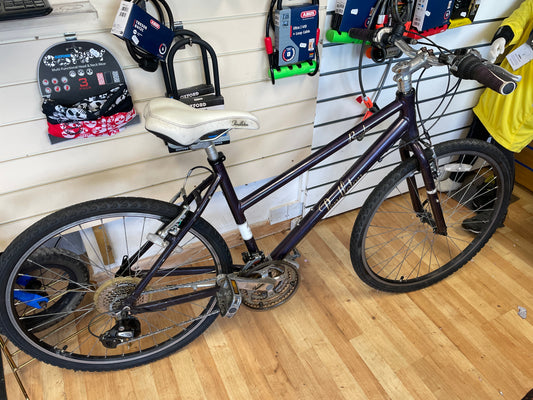 Pendleton Brooke small frame 16inch