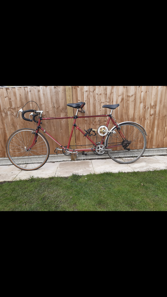 Unbranded Tandem Children Carrier optional