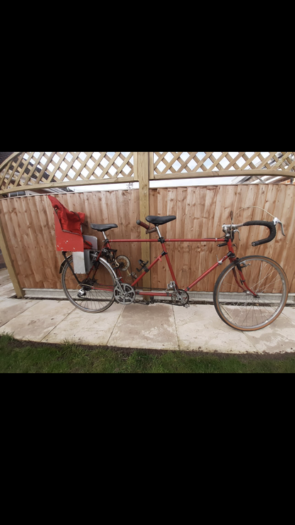 Unbranded Tandem Children Carrier optional